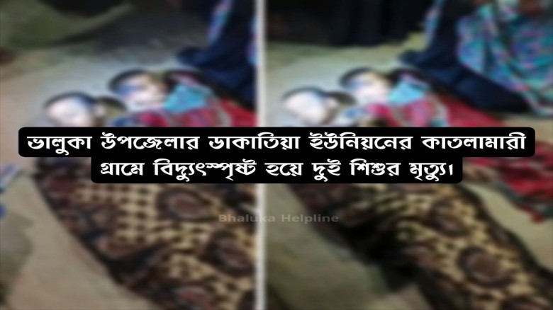 ভালুকায় বিদ্যুৎস্পৃষ্ট হয়ে দুই সহোদর শিশুর মর্মান্তিক মৃত্যু